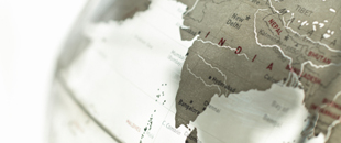 Case Studies